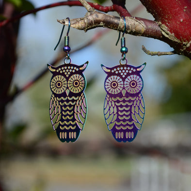 Rainbow Owl Earrings
